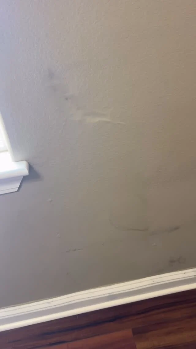 Hidden AC leak, full room restored.
A disconnected A/C condensate drain inside the wall soaked the ceiling, wall, and part of the floor. We traced the source, opened the wet areas, dried everything down, treated affected surfaces, then rebuilt: insulation, drywall, texture match, primer & paint, baseboards, and a clean flooring patch. Back to pre-damage—no shortcuts.

If you notice stains, bubbling paint, musty odor, or cupped baseboards, don’t wait. Early repairs save money.

📍 Sacramento & Bay Area
📲 Send photos for a fast quote or book online: https://home-repairman.com/book-your-handyman

#WaterDamageRepair #ACLeak #CondensateDrain #DrywallRepair #CeilingRepair #FloorRepair #MoldTreatment #LeakDetection #BeforeAndAfter #HomeRestoration #SacramentoHandyman #BayAreaHandyman #CaliforniaHomes #HomeImprovement #HomeRepairMan